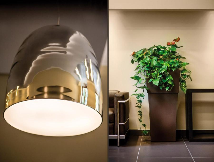 Hotel Il Cantico St. Peter Рим Экстерьер фото